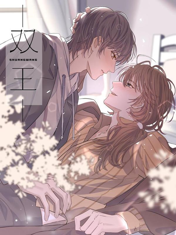 Double king cover