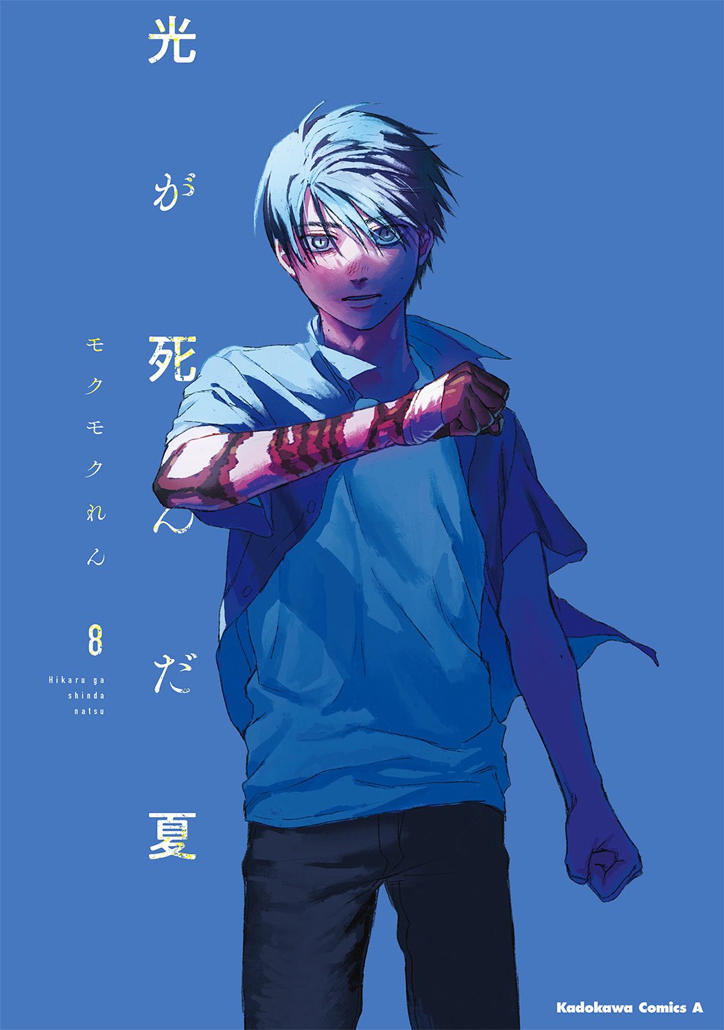 Hikaru Ga Shinda Natsu cover