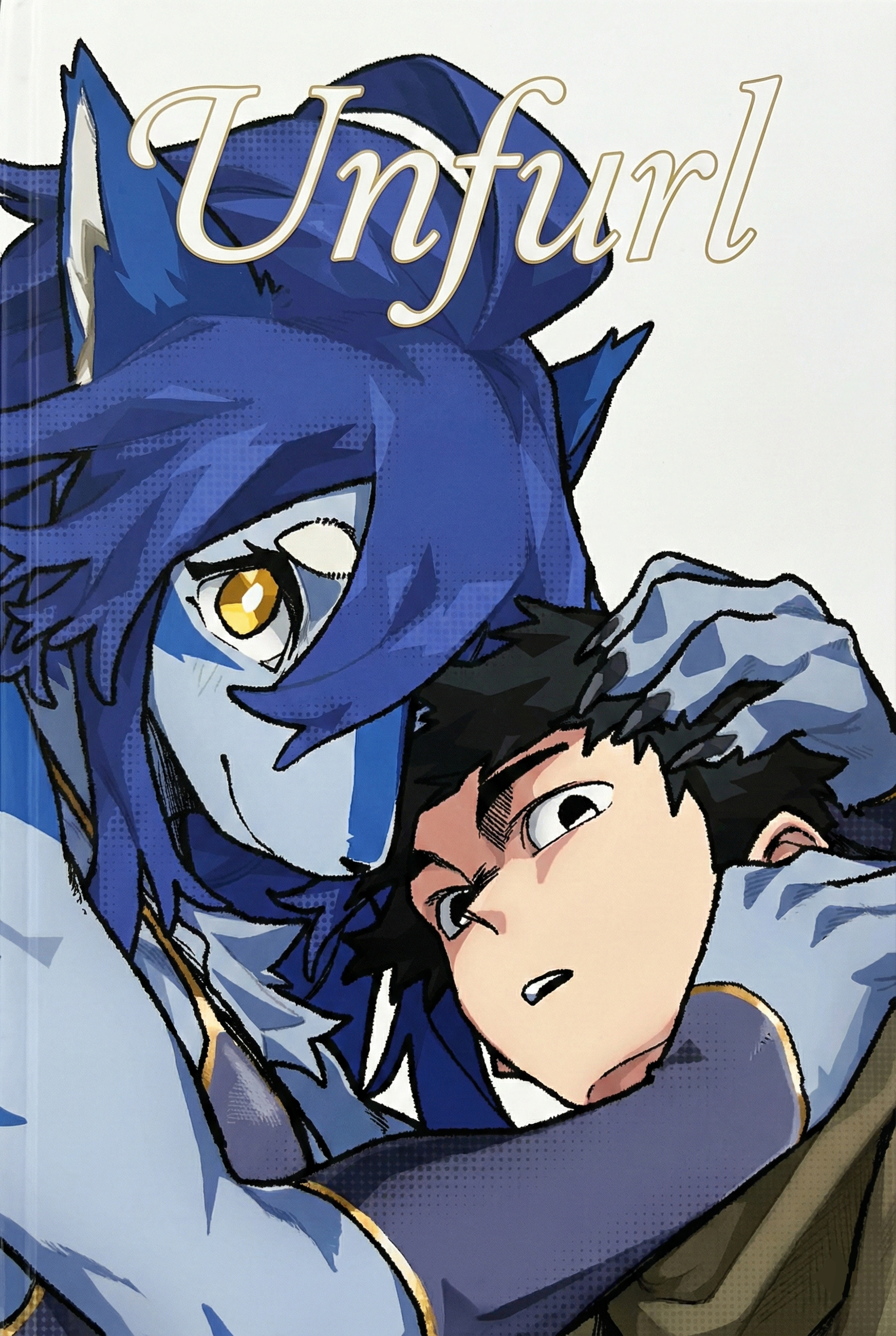 Unfurl cover