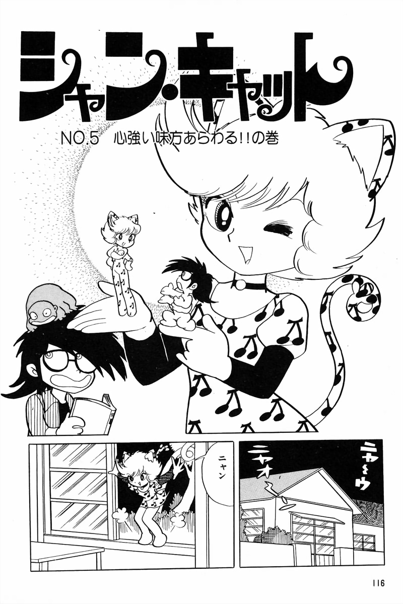 Shan Cat cover