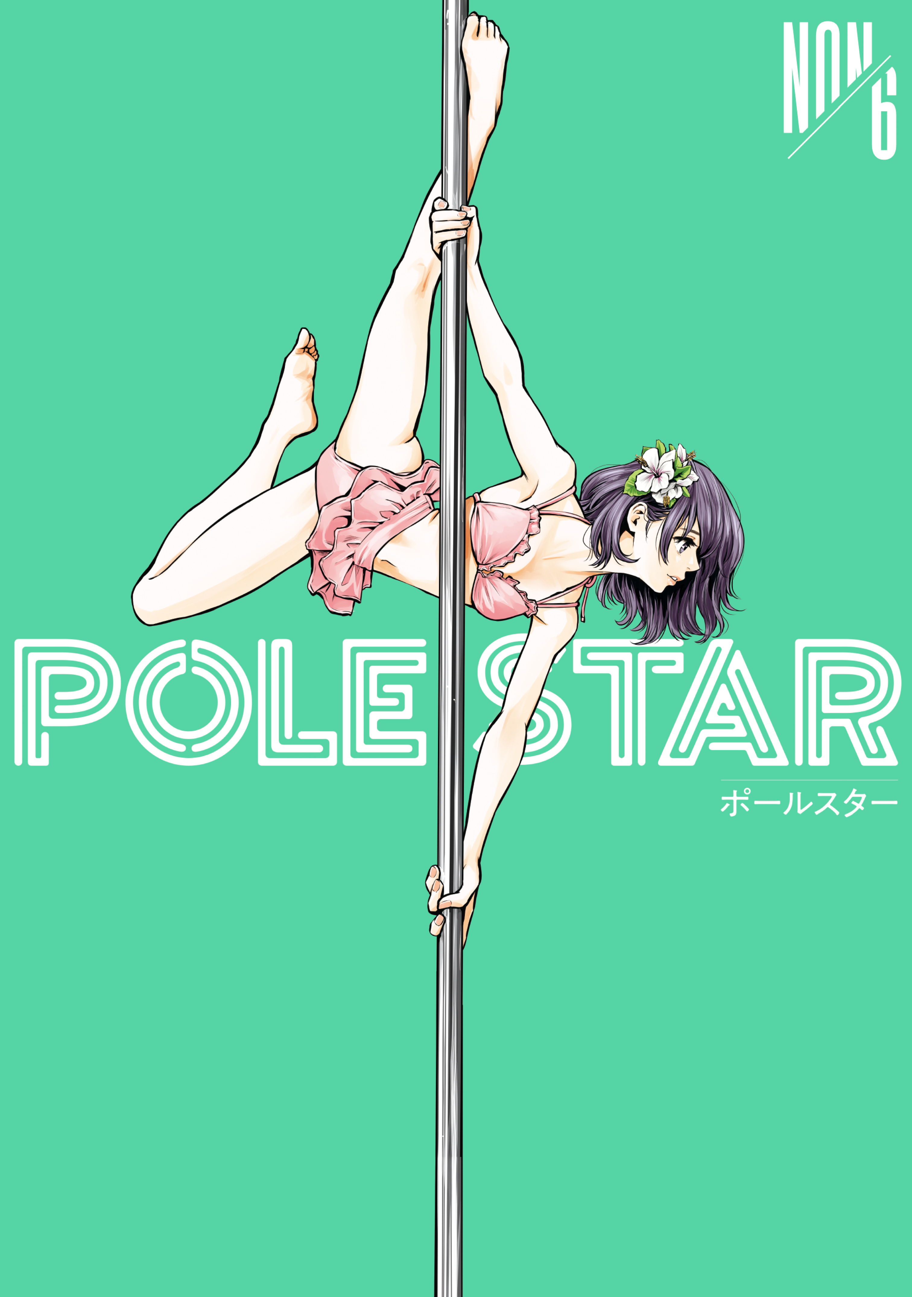 POLE STAR cover