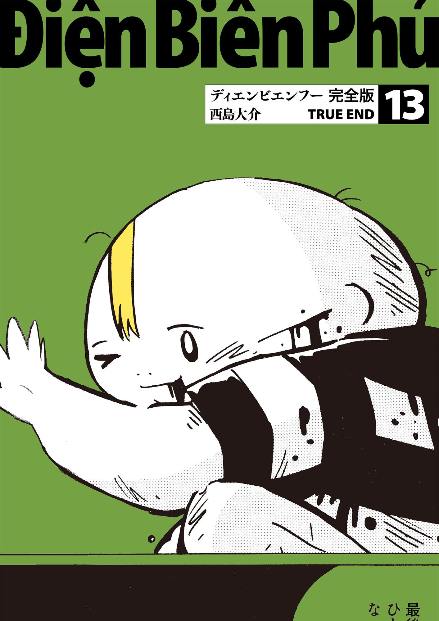 Dien Bien Phu cover